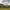 Blue train crossing a stone viaduct bridge in a lush green landscape with cows grazing below.