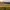 Two cyclists ride through a vineyard at sunrise with rolling hills in the background.