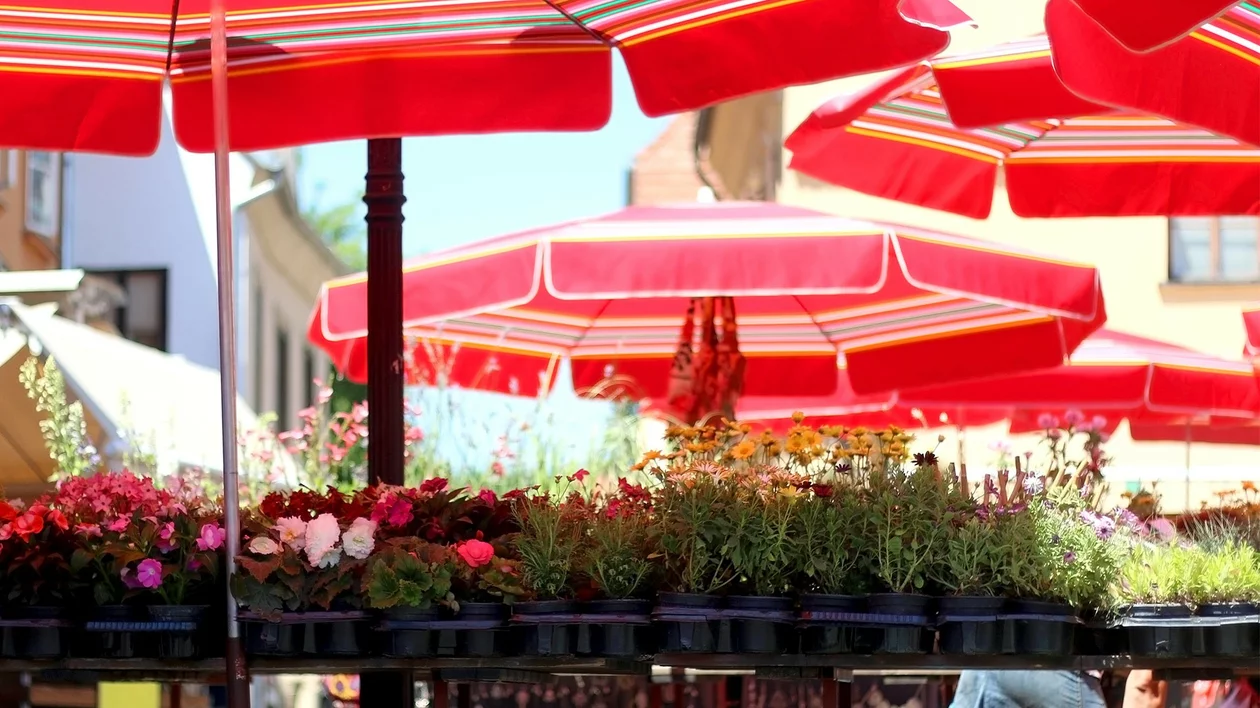 Doloc market in Zagreb, Croatia