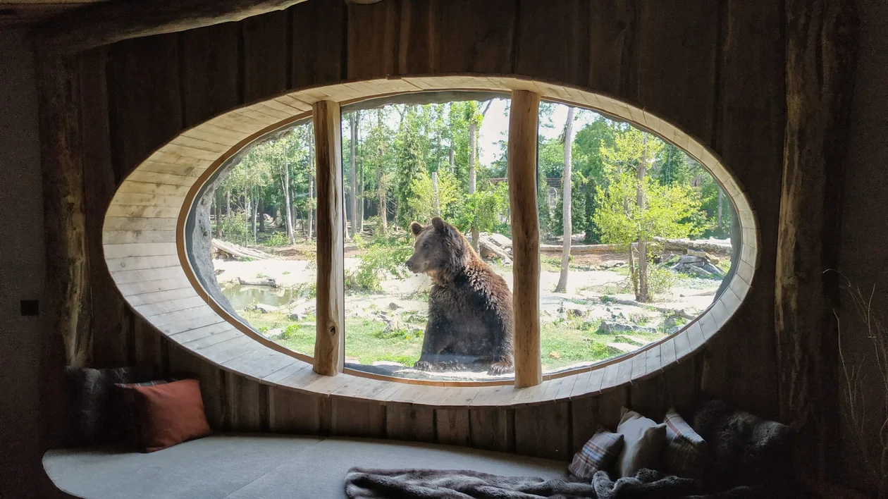 1. Pairi Daiza - Full Moon