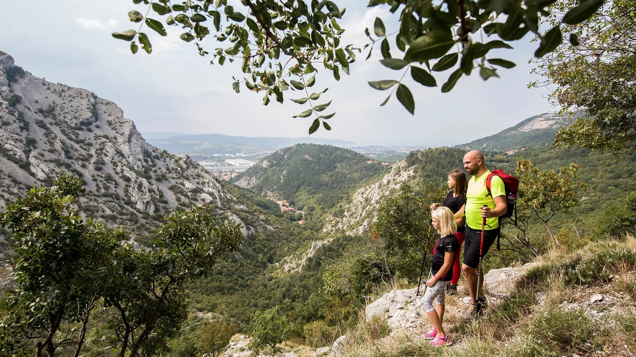 F011583-glinscica_02_180915_vid_ponikvar-photo-m