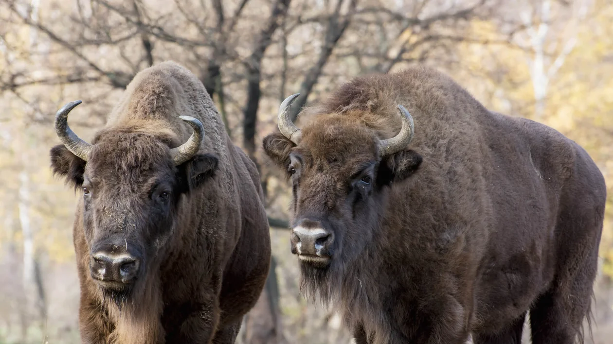 Photo 2_SLOVAKIA TRAVEL