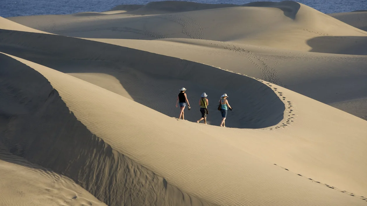 Maspalomas (Isla de Gran Canaria). Dunas