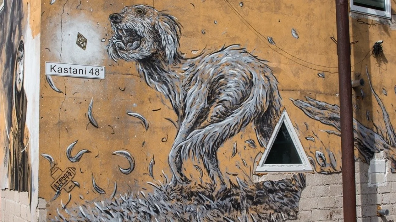 Karlova street art in Tartu