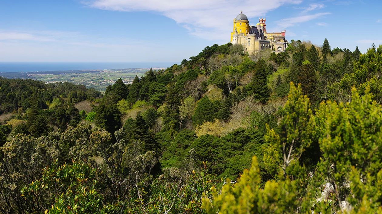 shutterstock_76393315_PalacioPenaSintra_LX_UN_Carlos Caetano