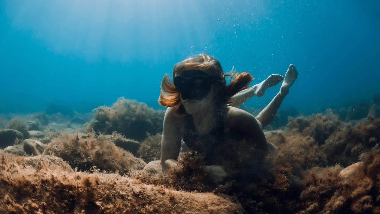 A diver discovering the fauna under water.