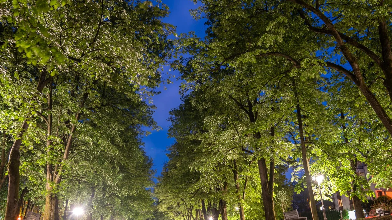 Vrnjačka Banja, Vrnjačka river, evening, by Đorđe Petrović-min