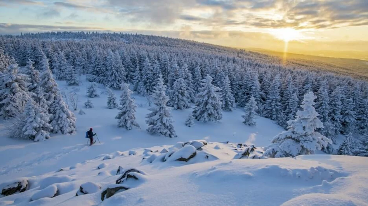 Harz_Snowshoeing in the Harz National Park, ©DZT / Michael Neumann.