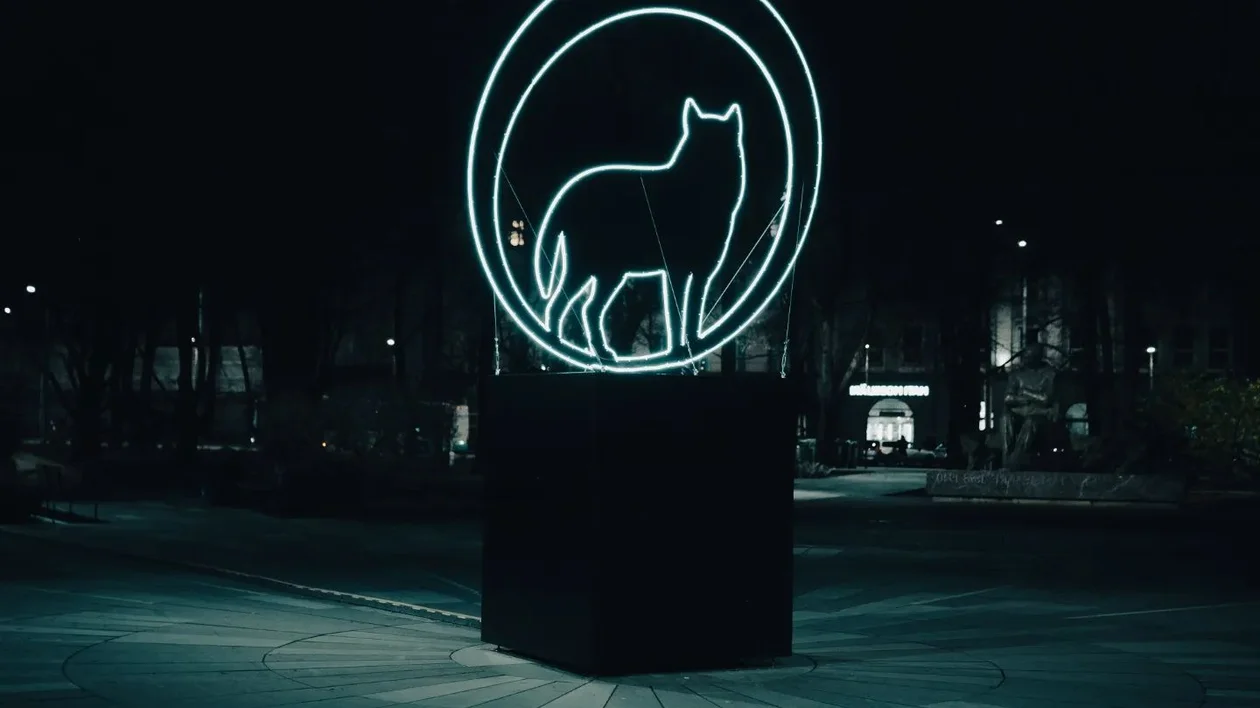 写真はエストニアのタリンで開催されたブラックナイトフェスティバル