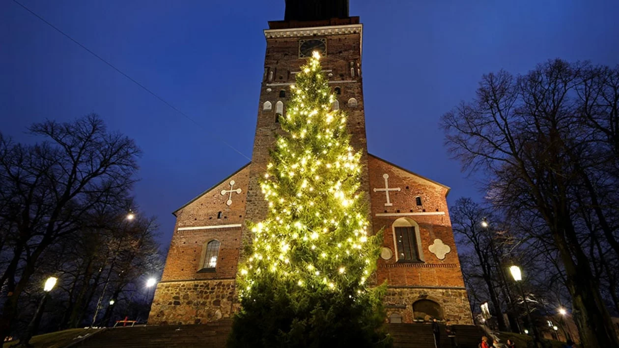 Giant lit spruce tree at Turku Christmas market, ©Samu Valleala.