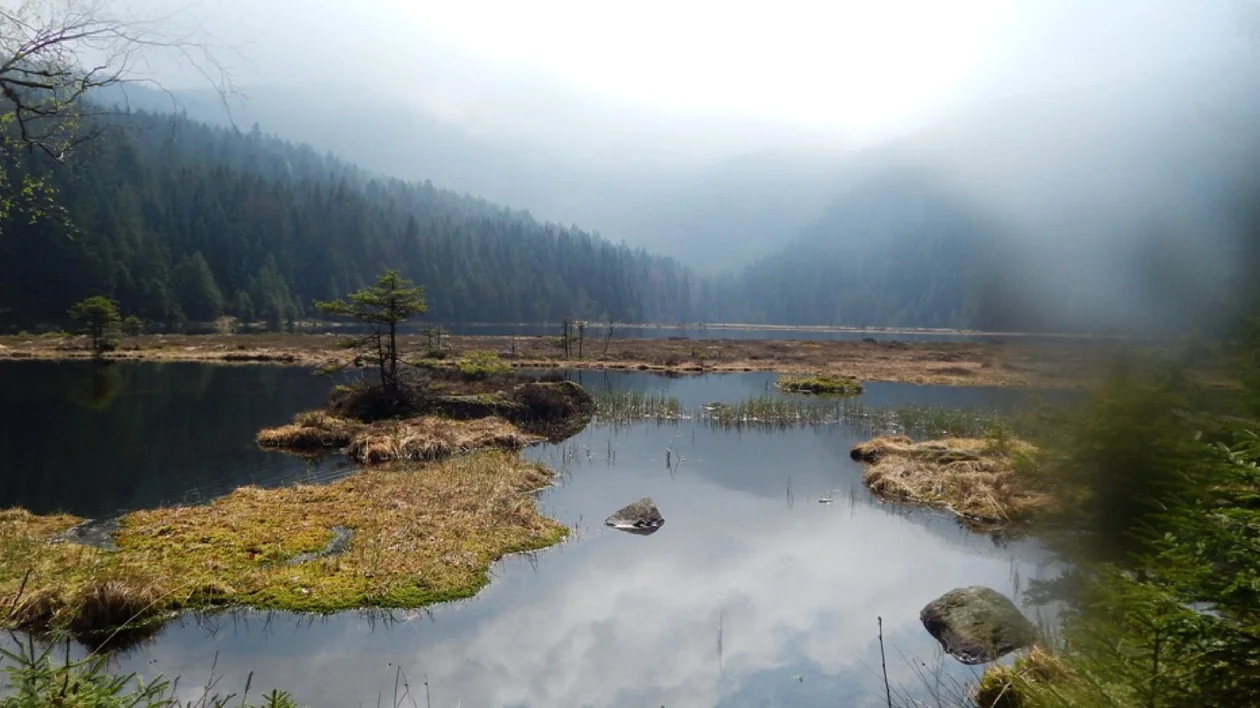 Bavarian Forest Nature Park: Lake Arber, Germany