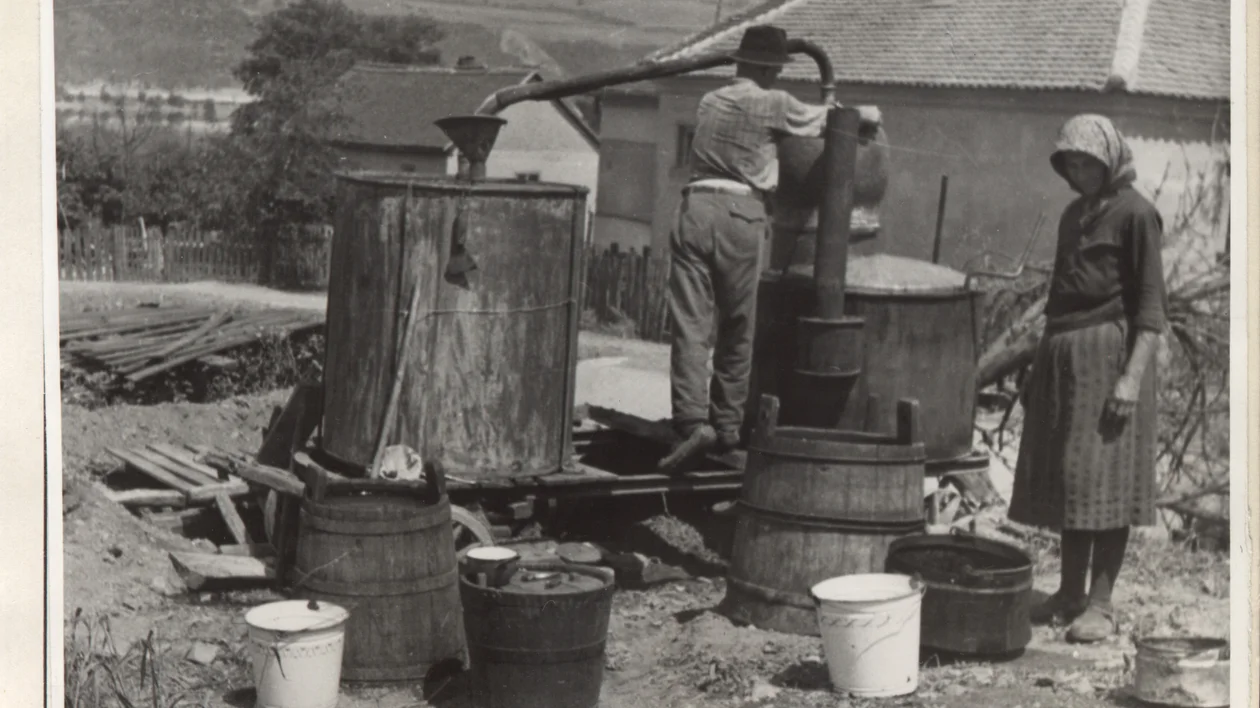 Plum destillation, Serbia.