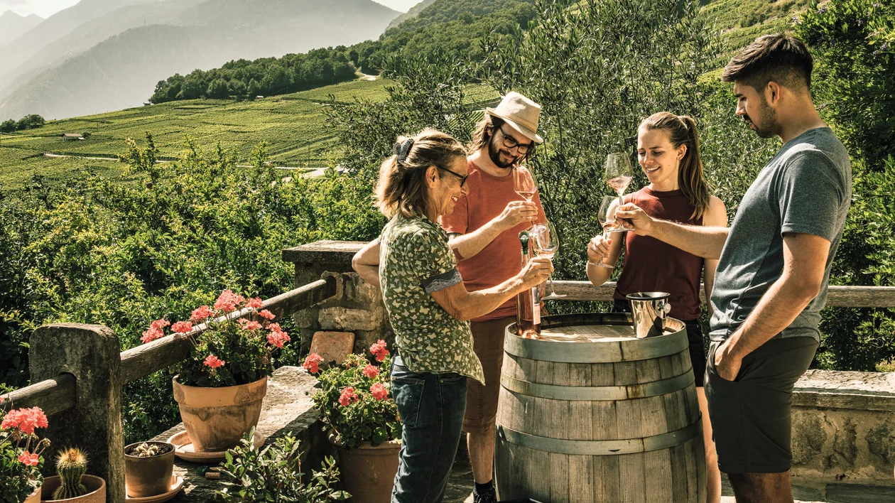 Vineyards, Switzerland.