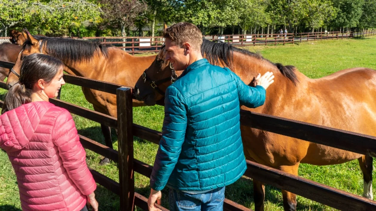 County Kildare, Ireland.