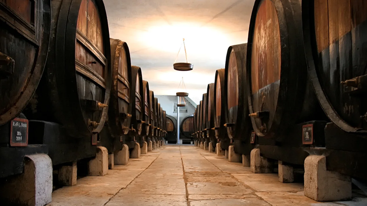 Setubal Caves, Portugal.