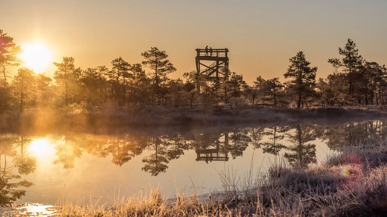 Sunset in Kemeri National Park, Latvia Kemeri National Park, a UNESCO-protected site, is a captivating blend of wetlands, forests, and pristine lakes. Spanning over 38,000 hectares, this park offers a remarkable opportunity to observe some of Latvia's rar