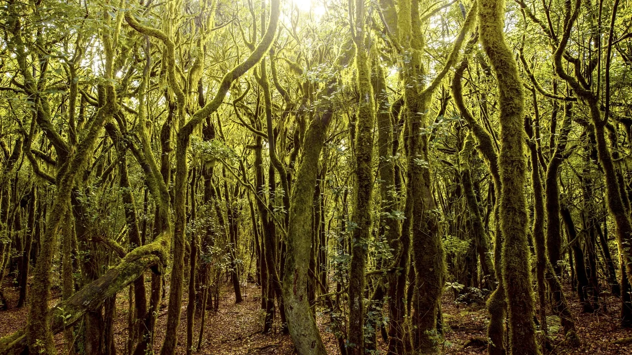 A fascinating landscape that will bewitch you like a fairytale, where nature is the main feature