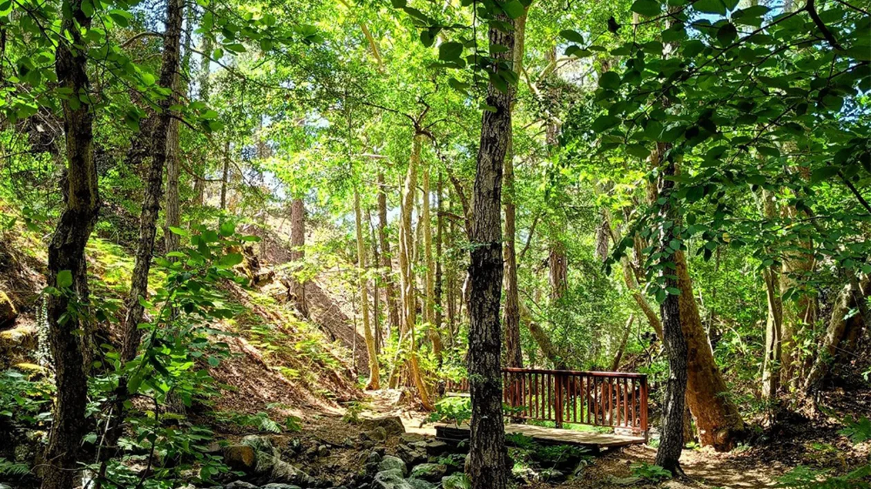 Sentier nature Kaledonia à Chypre