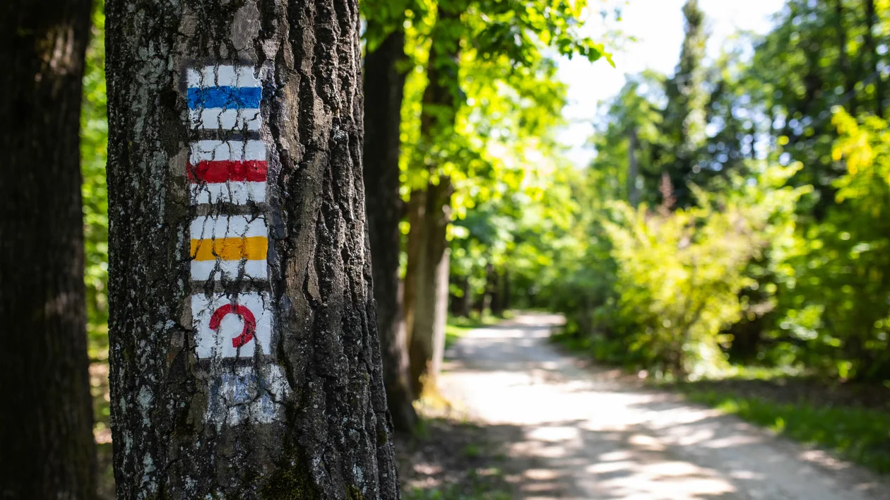 Dobogókő © Hungarian Tourism Agency