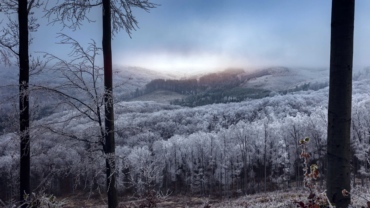 Winter in Mátra © Hungarian Tourism Agency