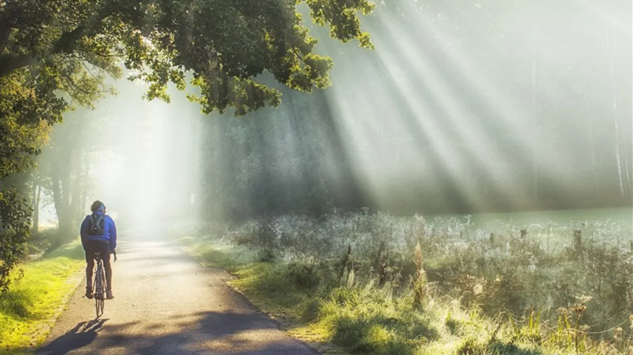 Cycling in the Gelderland wine region. ©Fred Rietvink National Image Bank