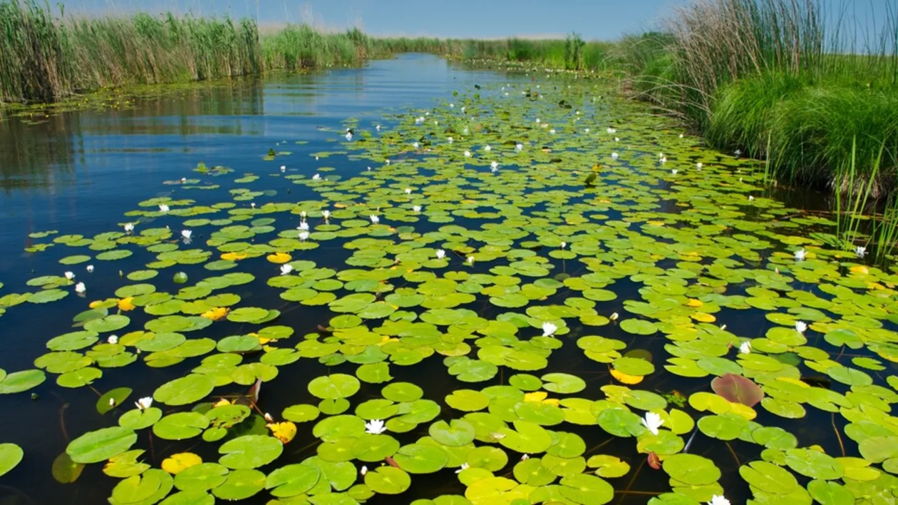 The Danube Delta. ©Ministry of Economy, Entrepreneurship and Tourism