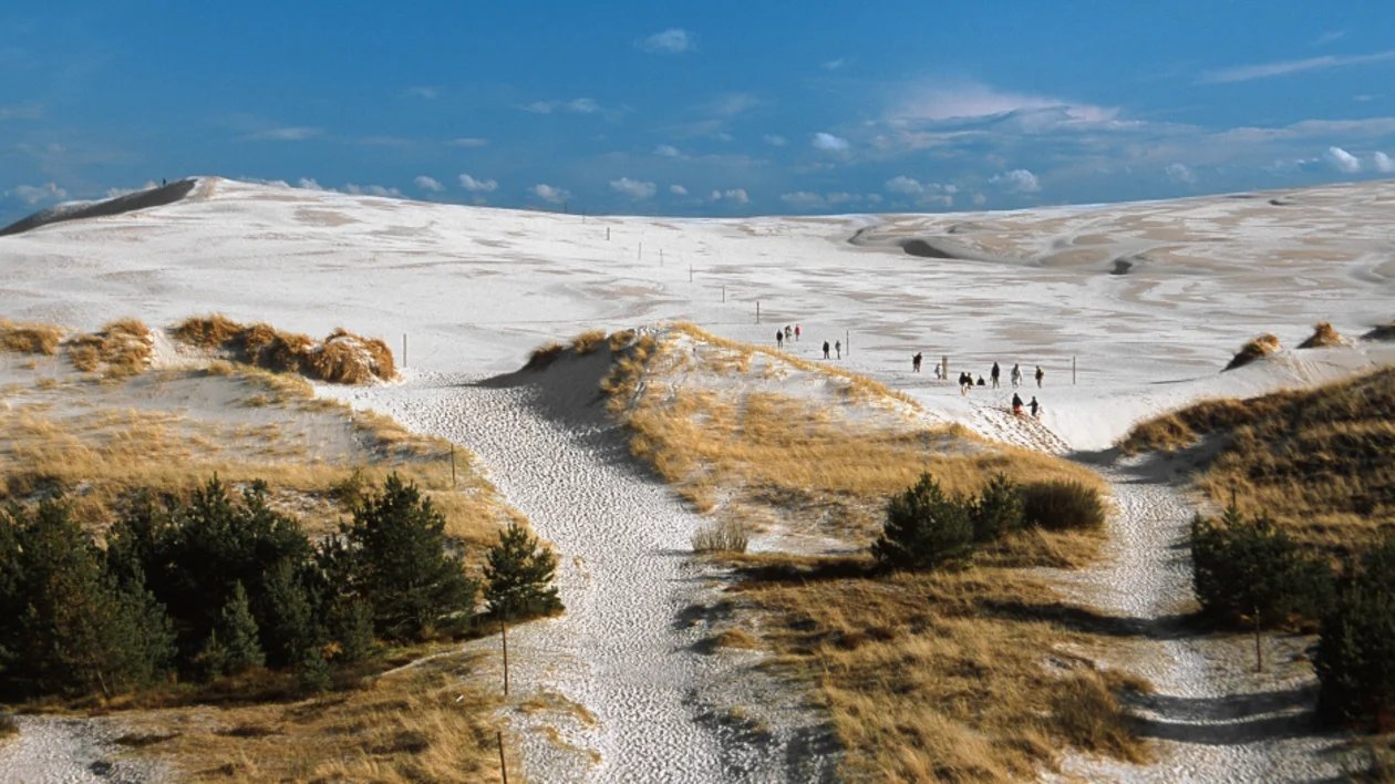 "Polish Sahara" - moving dunes in Słowiński National Park. ©Polish Tourism Organisation