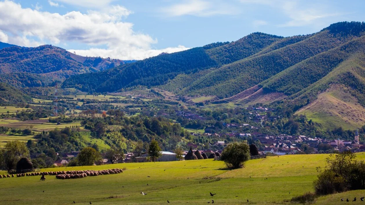 Charming guest houses in Rasinari: Traditional architecture surrounded by picturesque landscapes, offering a cozy retreat in the heart of the Romanian countryside.