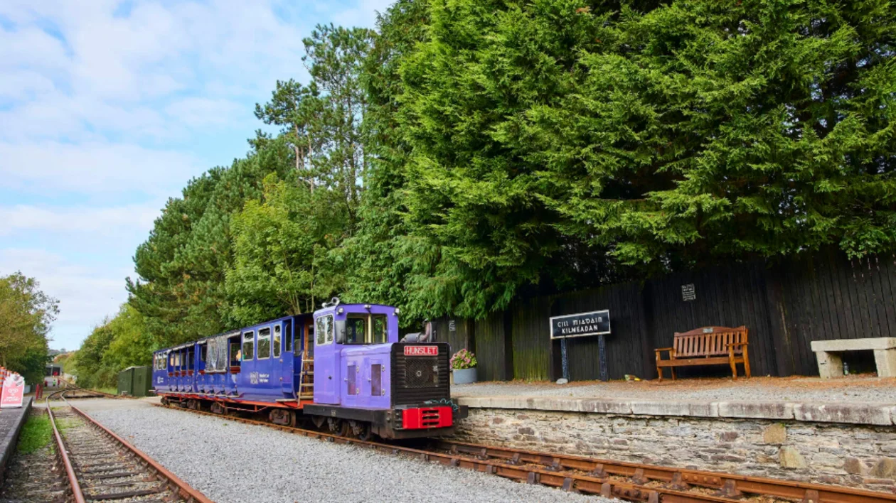 A small, violet and cute train is passing on an old railway