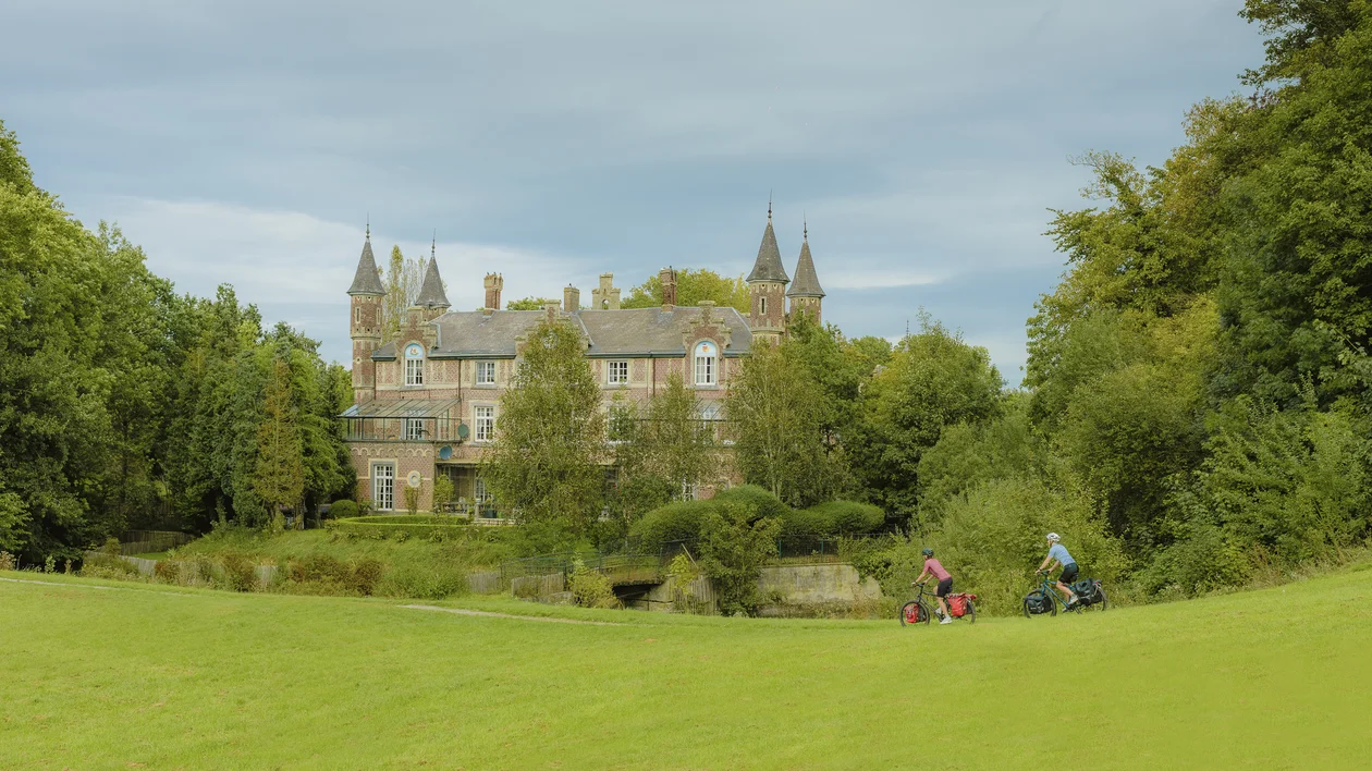 a Castel in the middle of the forest