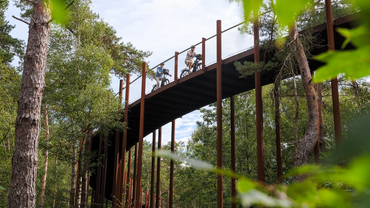 biking on a bridge in the middle of the forest