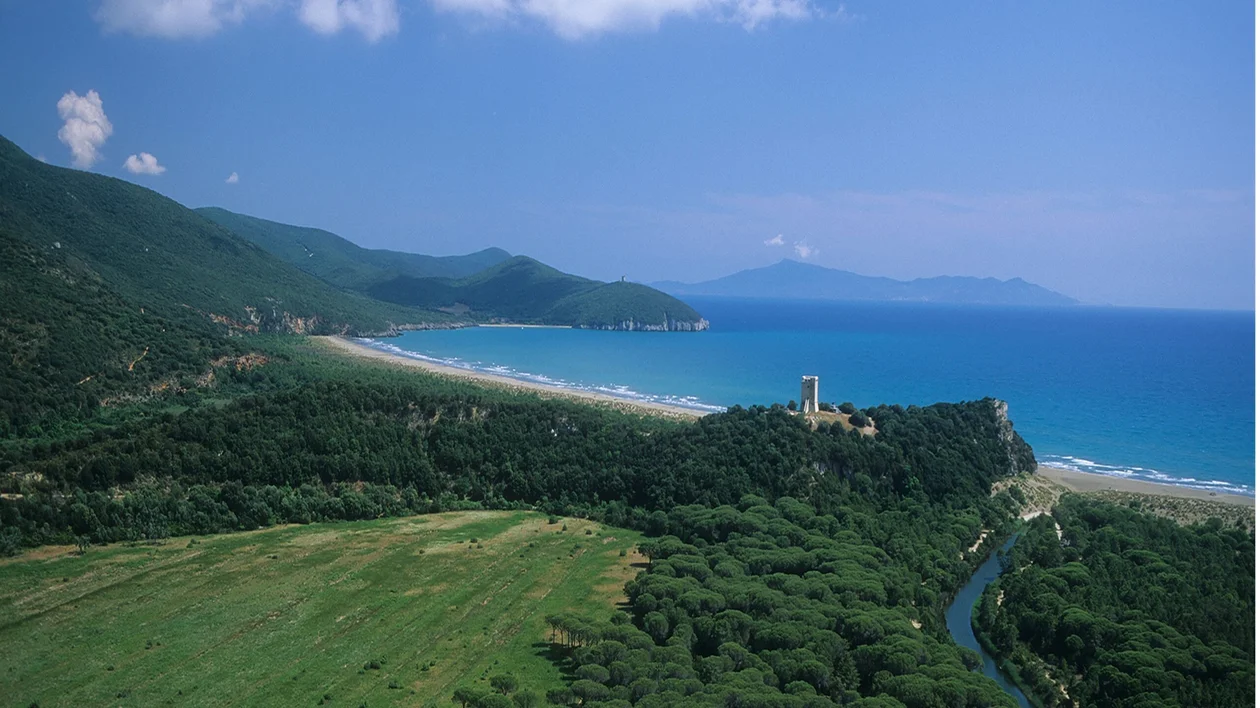 Natural landscape with plants and seaside