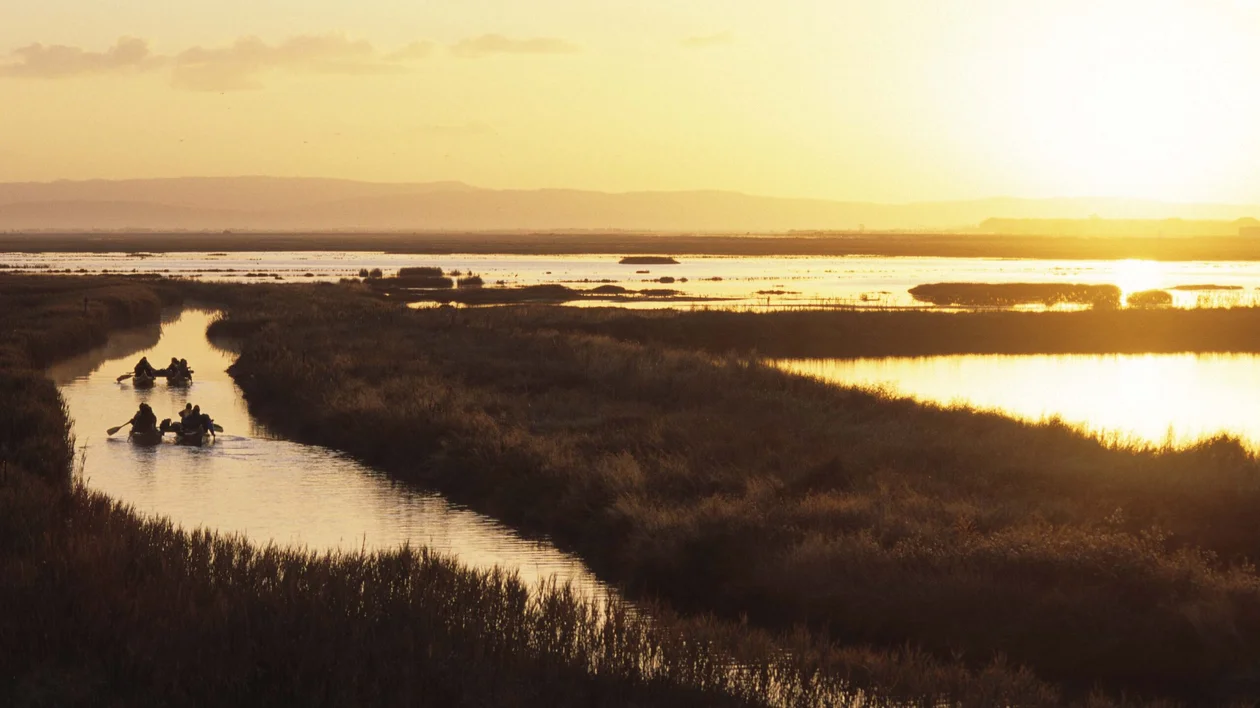 Natural Reserve in sunset light
