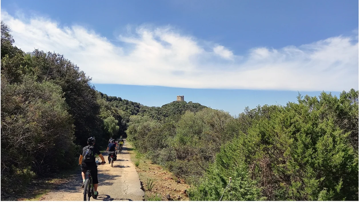 Bike path from Grosseto to the beach