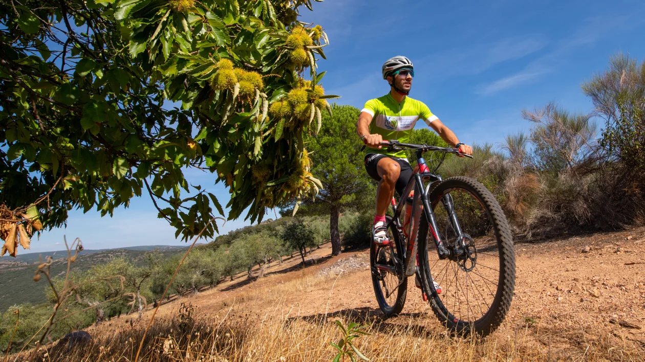 In Extremadura, you will ride through dehesas, vast pasturelands where you can enjoy the landscape and see the whole process of making ham
