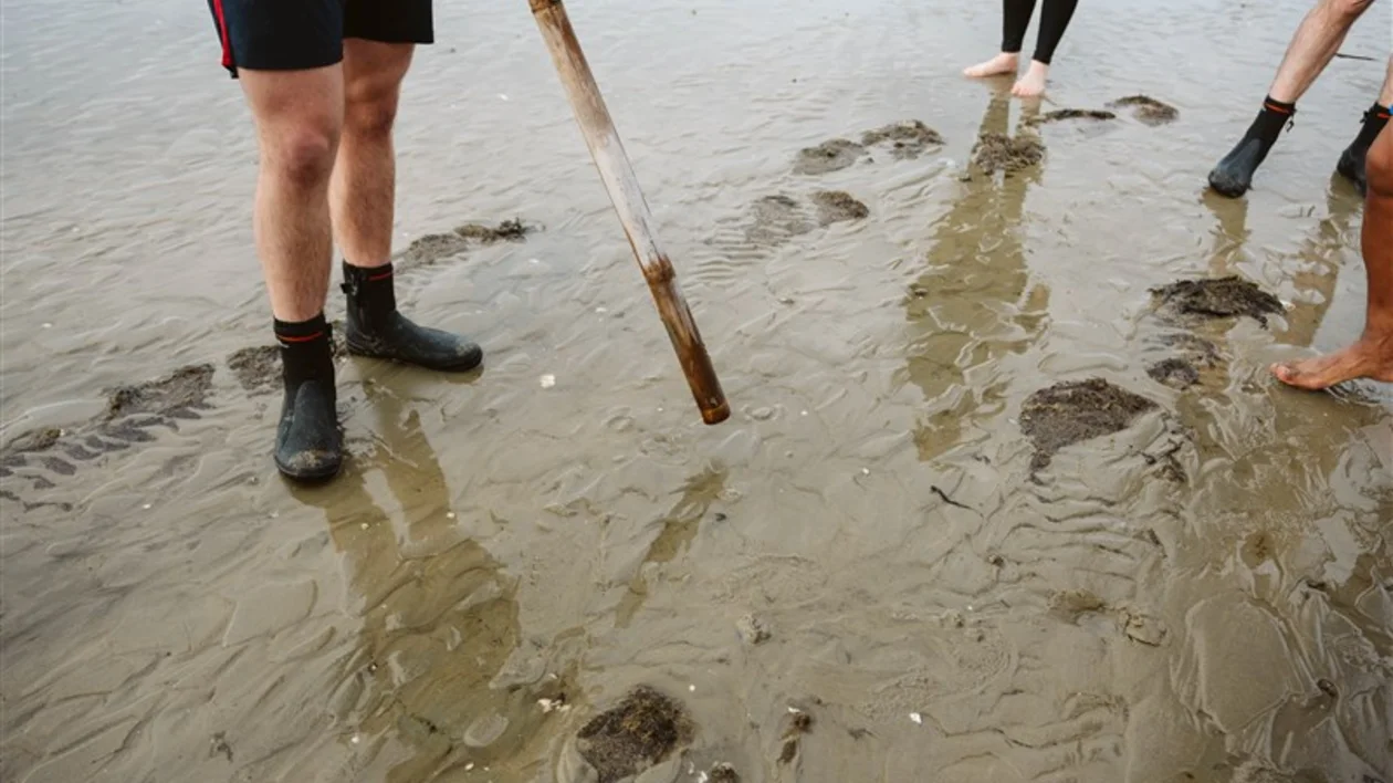 Drone photo of the Wadden Islands; mudflat walking on the Wadden Islands