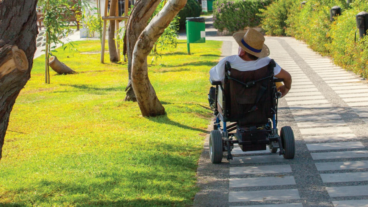 Person in a wheelchair on a paved path through a green park with trees and shrubs.