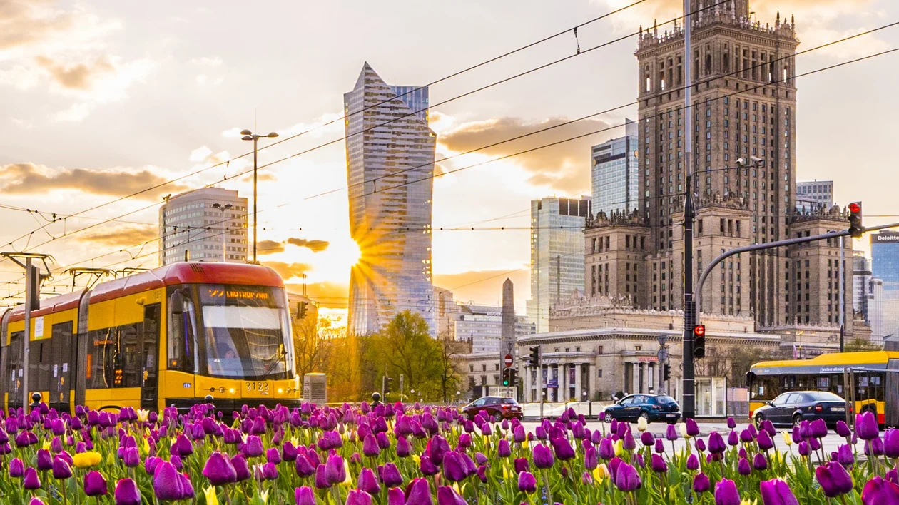 A field of flowers in warsaw with the towers and some building behind with a sunny background.