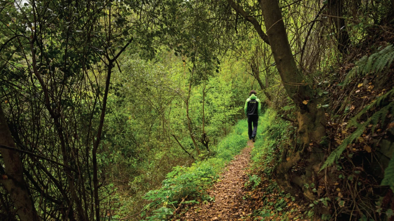 Person hiking on a narrow forest trail surrounded by lush greenery.