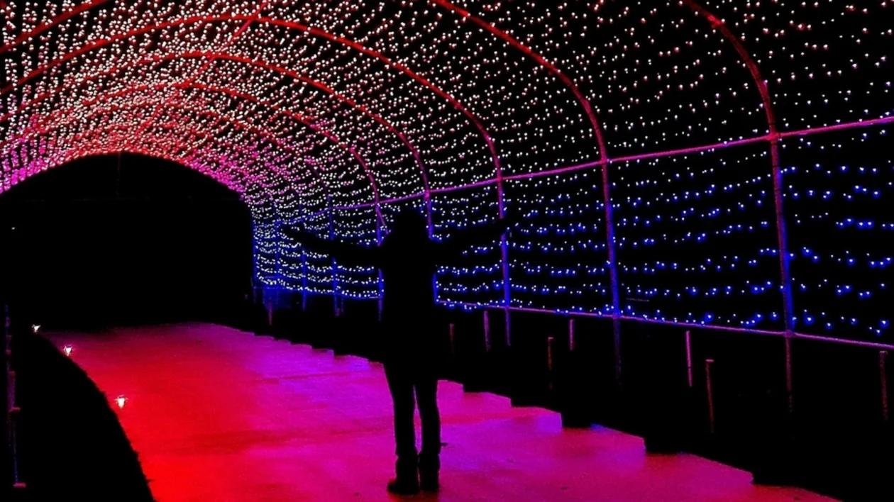 Person standing under a tunnel of pink and blue lights at night.