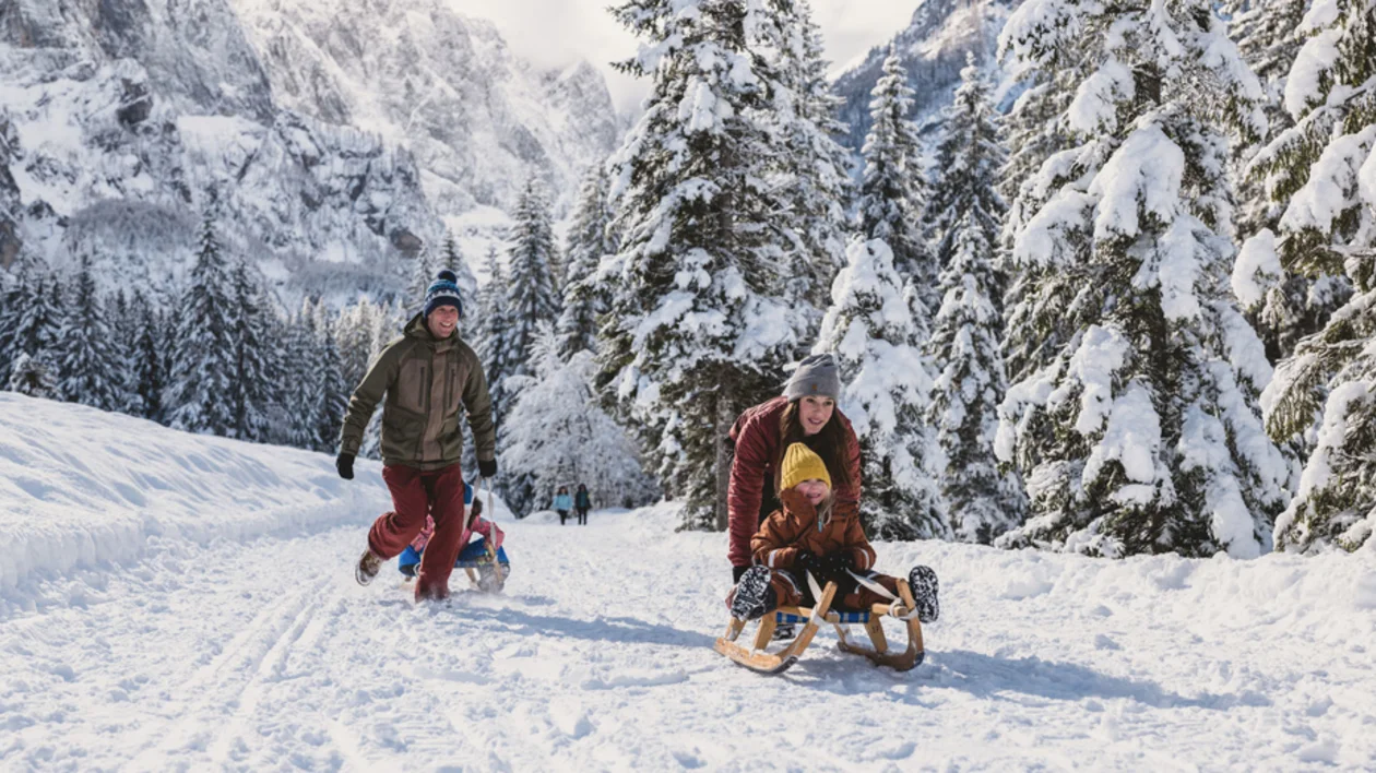 Children play with sleds in a snowy forest landscape.