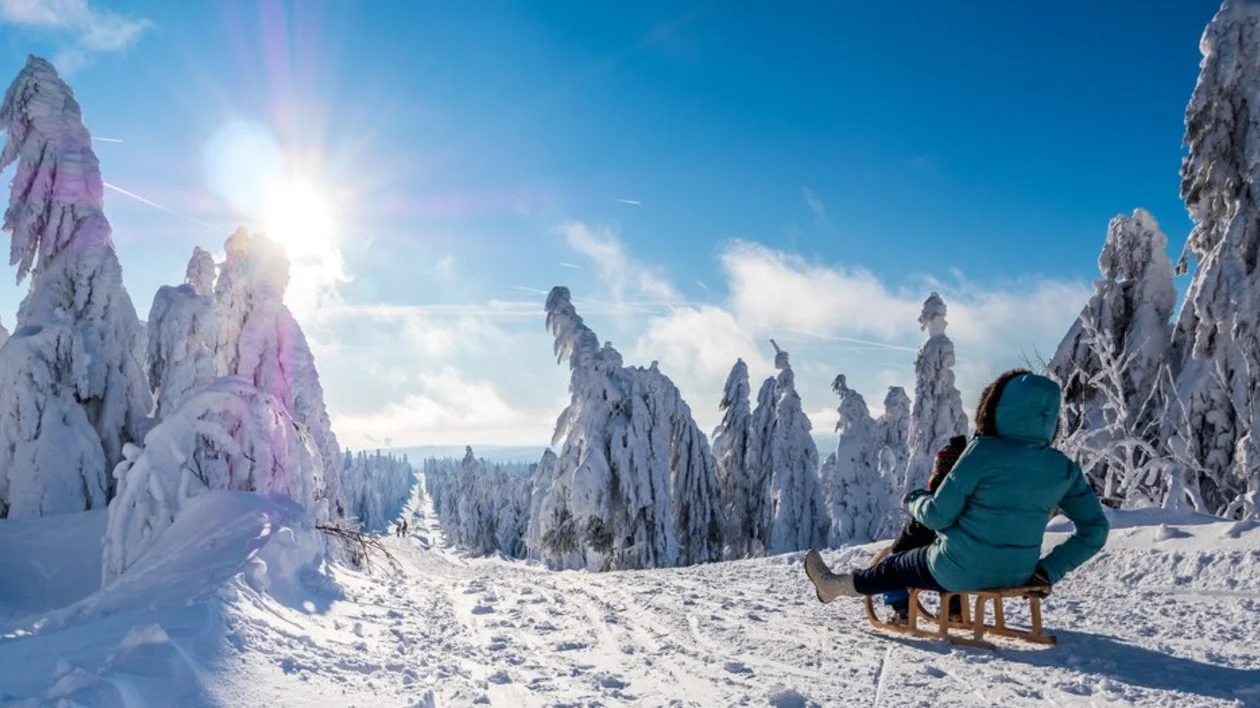 Person on a sled looking at snowy trees and mountains under a bright sun.
