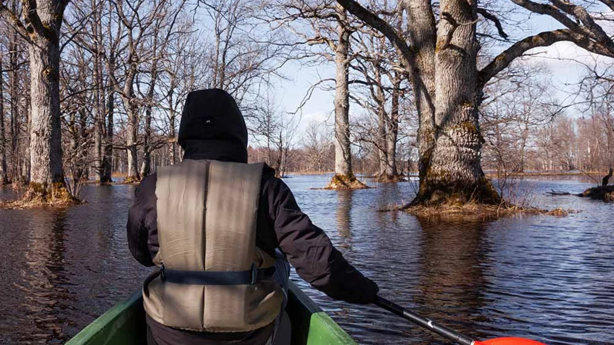 Canoeing during the fifth season in Soomaa National Park, Estonia