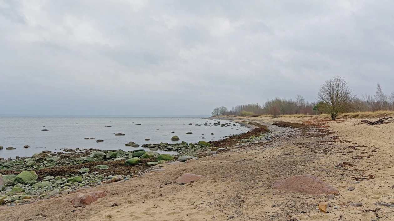 Rocky coastline of Tallinn Bay on the Paljasaare Peninsula, with a dramatic grey sky overhead.