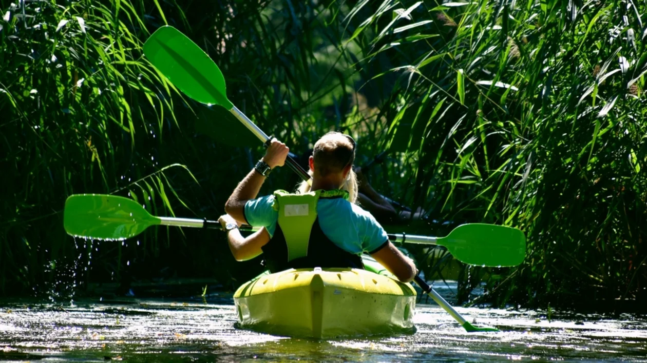 A kayaker paddles through a lush, green river surrounded by tall reeds, enjoying a sunny day outdoors.