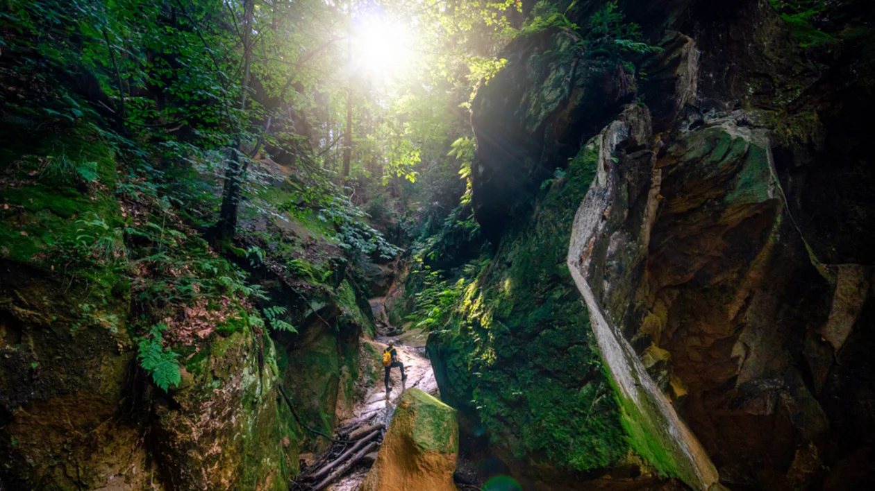 A narrow, sunlit canyon with moss-covered rocks and lush greenery, featuring a hiker walking along a rocky path.