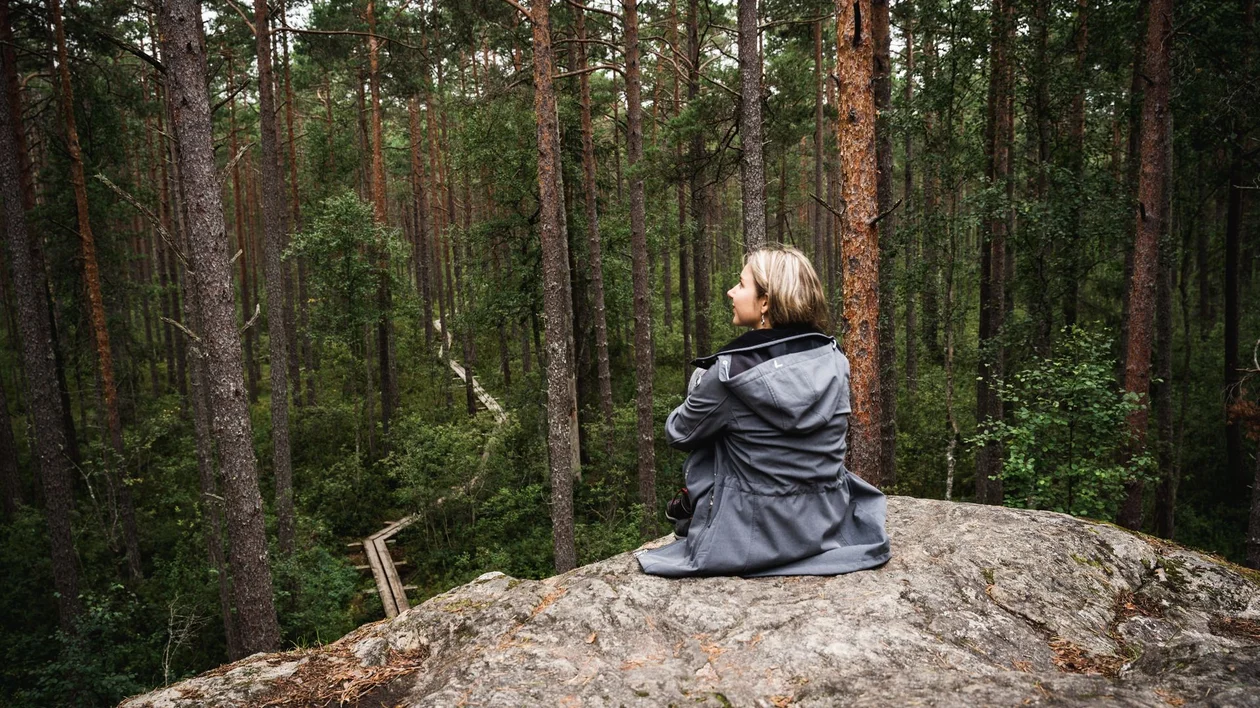 A person sits on a large rock, overlooking a dense green forest with tall trees and a winding path in the background.