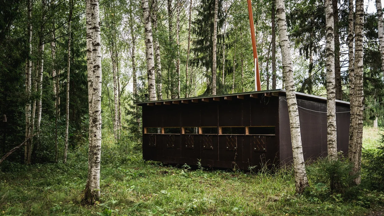 A small dark wooden structure is nestled among tall birch and conifer trees in a lush, green forest setting.
