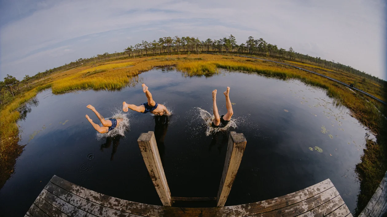 Three people diving into a calm, reflective pond surrounded by lush greenery and a clear blue sky, splashing water dramatically.