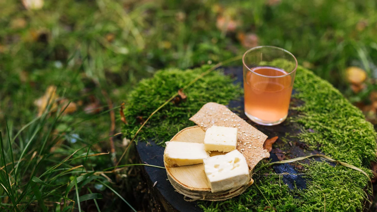 Slices of Sweden cheese and crispbread with a glass of juice on a mossy tree stump in the forest.